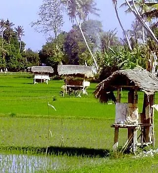 Ellies Hotel Nusa Dua  2*, Nusa Dua (Bali) Indonesië